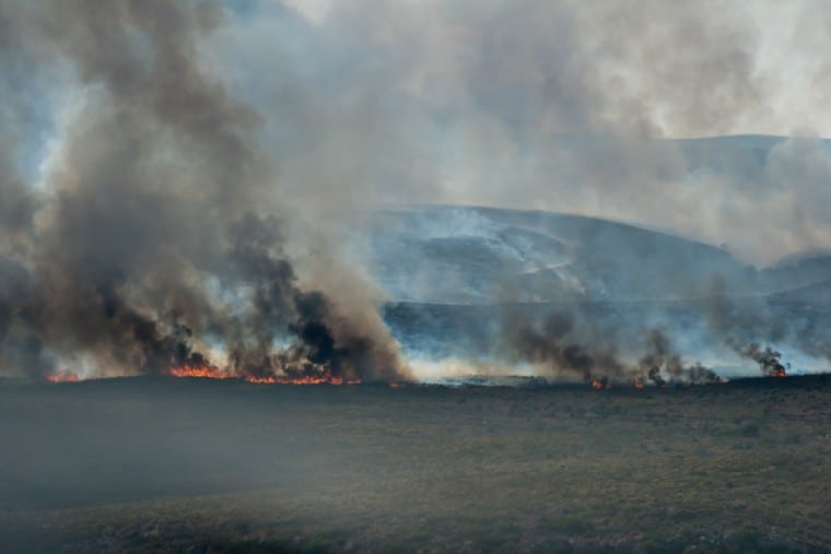 Grèce réfugiés climat Kenya Somalie