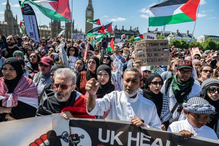 C'était l'une des plus grandes manifestations nationales pour la Palestine