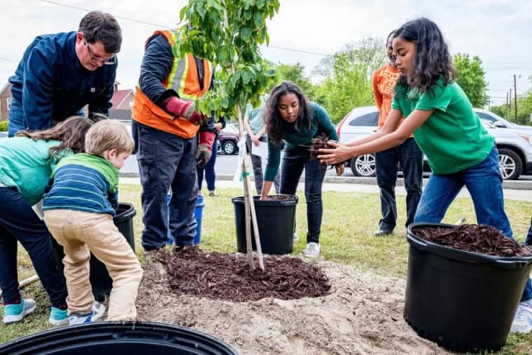Les humains sont-ils trop cupides pour une société socialiste ?
