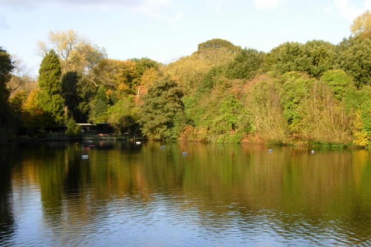 Lettres : les nageurs de Hampstead contribuent à inverser la tendance transphobe