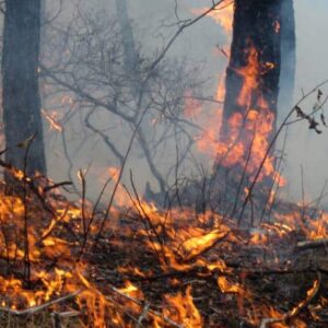 Les gouvernements détournent le regard alors que des milliers de personnes sont confrontées à des incendies cauchemardesques