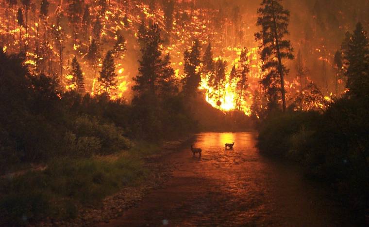 Les incendies de forêt au Canada ne sont pas le fruit du hasard