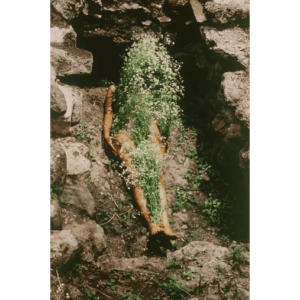 Tate ne dira pas la vérité sur Ana Mendieta
