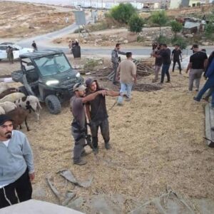 Les colons intensifient la violence dans un village de Cisjordanie