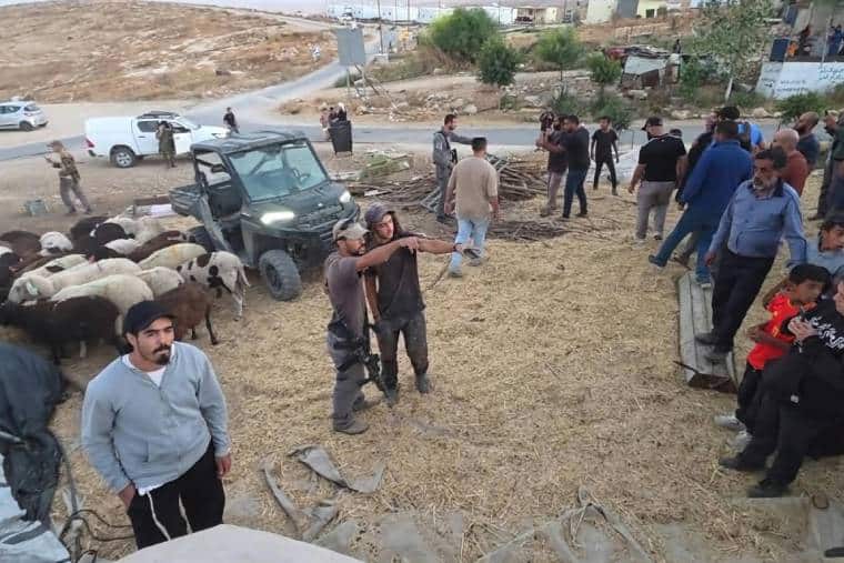 Armed Israeli settlers attempted to steal sheep from the villagers